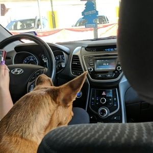 Meet your Posher, Elisa